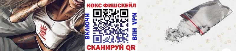 Кокаин FishScale  купить  сайты  Вытегра 