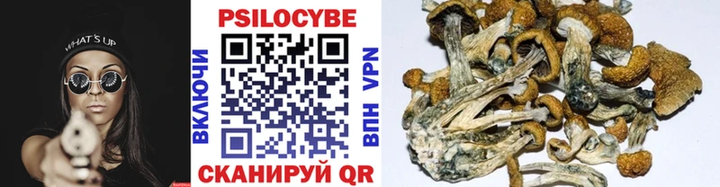 что такое наркотик  mega ссылка  Галлюциногенные грибы мухоморы  Вытегра 